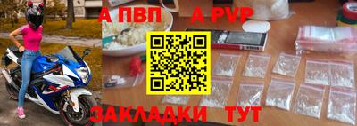 крисы Кингисепп