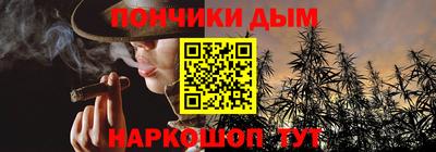 крисы Кингисепп