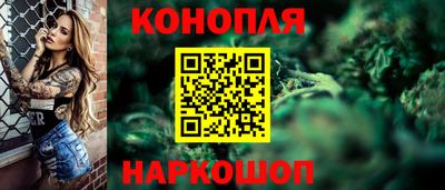 крисы Кингисепп