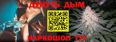 крисы Кингисепп