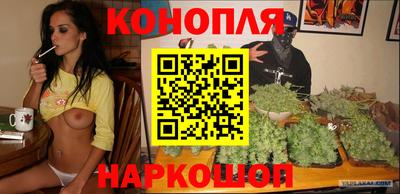 гашик Кимры