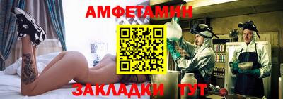 крисы Кингисепп