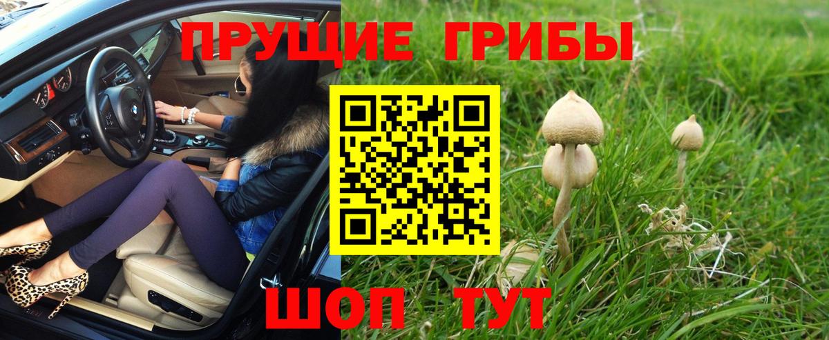 Псилоцибиновые грибы GOLDEN TEACHER  Псилоцибиновые грибы Psilocybe  Вход с VPN  Якутск 